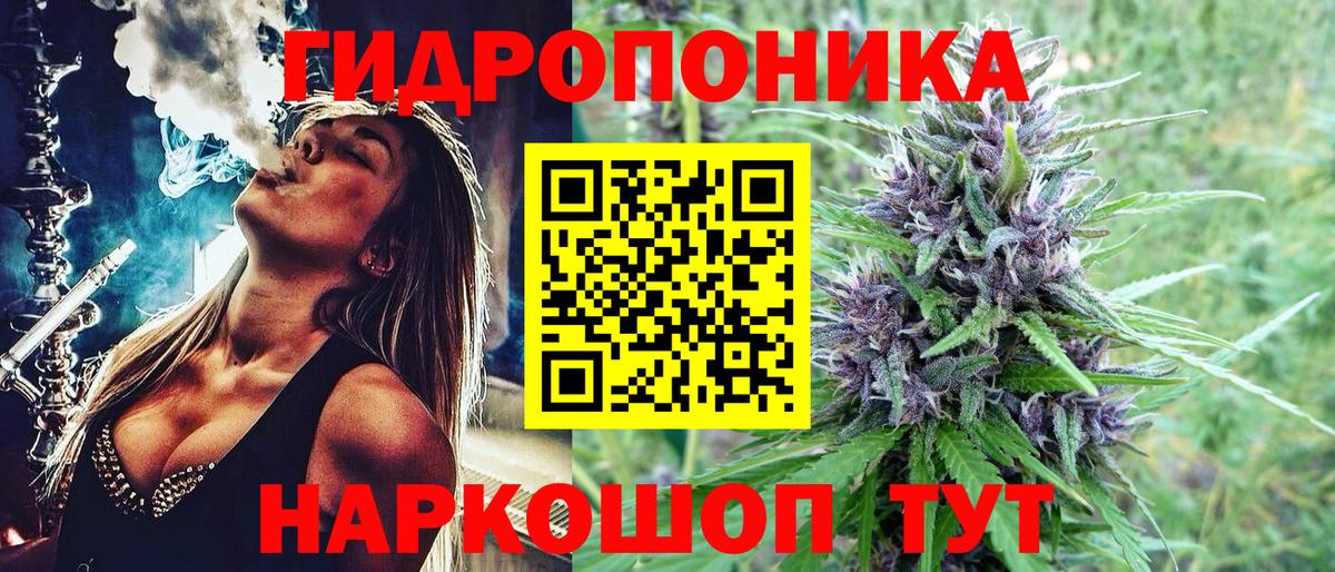 Бошки Шишки семена Гулькевичи